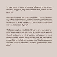 Carica l'immagine nel visualizzatore di Gallery, Saverio Marìe di Andrea Mattia Monti - Edizioni San Lorenzo