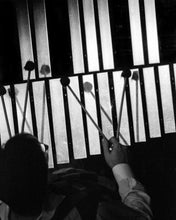 Carica l'immagine nel visualizzatore di Gallery, LAMPI DI JAZZ - Giuseppe Maria Codazzi, Giordano Gasparini, Sandro Parmiggiani- E-BOOK - Edizioni San Lorenzo