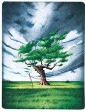 Carica l'immagine nel visualizzatore di Gallery, Fango di Stefano Nava prefazione di Luigi Verdi - Edizioni San Lorenzo