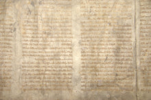 Carica l'immagine nel visualizzatore di Gallery, I SALMI. Pregherò con lo spirito ma pregherò anche con l’intelligenza di Vincenzo Bonato - Edizioni San Lorenzo