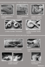 Carica l'immagine nel visualizzatore di Gallery, PIETRE MATILDICHE di Gian Luca Malatrasi - Edizioni San Lorenzo