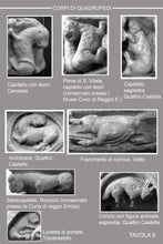 Carica l'immagine nel visualizzatore di Gallery, PIETRE MATILDICHE di Gian Luca Malatrasi - Edizioni San Lorenzo