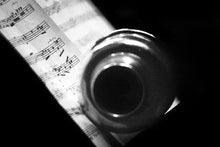 Carica l'immagine nel visualizzatore di Gallery, LAMPI DI JAZZ - Giuseppe Maria Codazzi, Giordano Gasparini, Sandro Parmiggiani- E-BOOK - Edizioni San Lorenzo