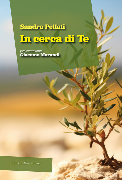 IN CERCA DI TE di Sandra Pellati - Edizioni San Lorenzo
