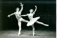 Carica l&#39;immagine nel visualizzatore di Gallery, TEORIA DEL BALLETTO PER INSEGNANTI  DI DANZA CLASSICA Compendio elaborato - LILIANA COSI - Edizioni San Lorenzo
