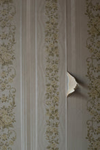 Carica l&#39;immagine nel visualizzatore di Gallery, CHIAMALA FEBBRE - Nazim Comunale, fotografie Alessandra Calò, introduzione Giuseppe Caliceti - Edizioni San Lorenzo
