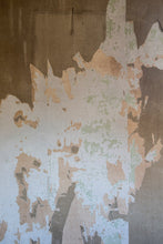 Carica l&#39;immagine nel visualizzatore di Gallery, CHIAMALA FEBBRE - Nazim Comunale, fotografie Alessandra Calò, introduzione Giuseppe Caliceti - Edizioni San Lorenzo
