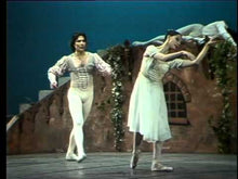 Carica e avvia il video nel visualizzatore di galleria, TEORIA DEL BALLETTO PER INSEGNANTI  DI DANZA CLASSICA Compendio elaborato - LILIANA COSI
