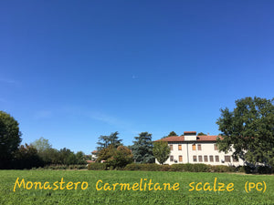 MI STAI A CUORE - Edizioni San Lorenzo